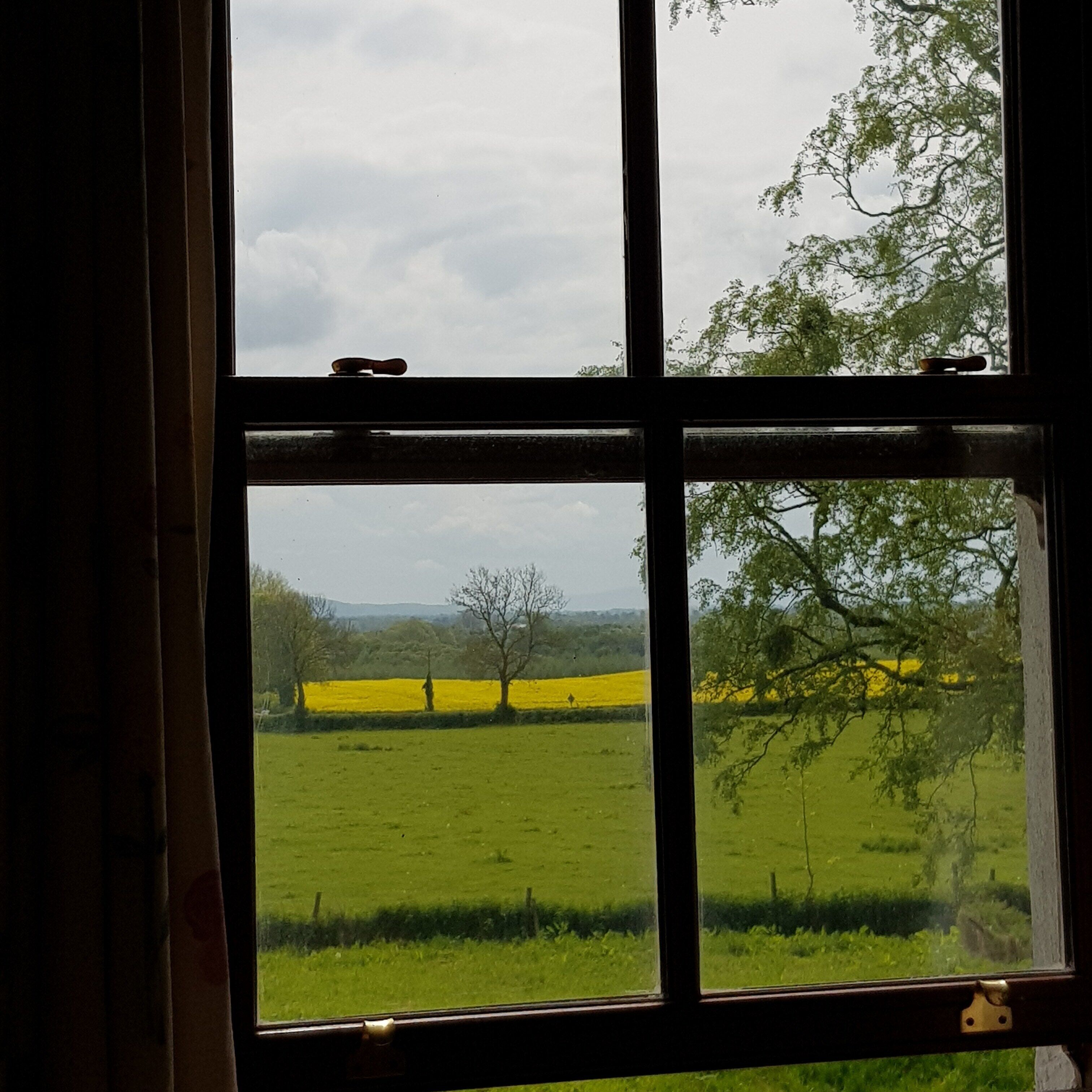 Standard Twin Room (Library Room) | Iron/ironing board, free WiFi, bed sheets