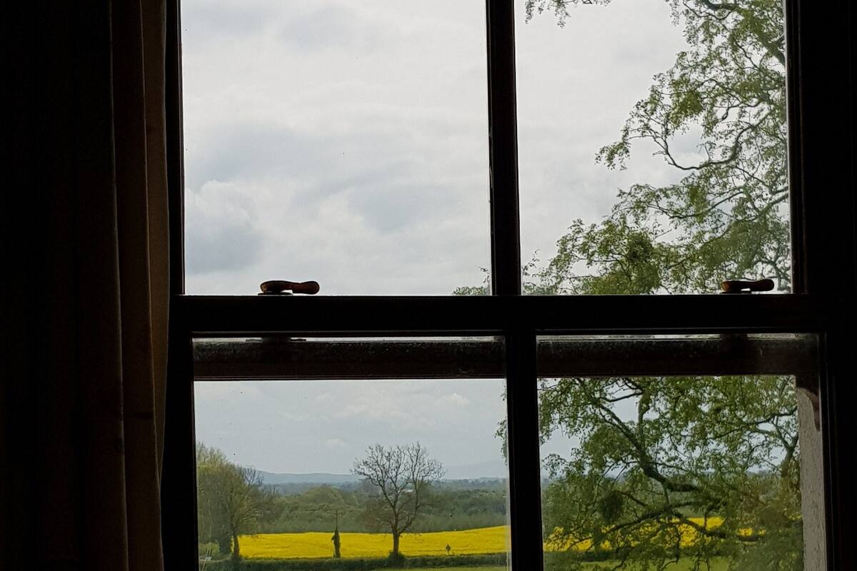 Standard Twin Room (Library Room) | Iron/ironing board, free WiFi, bed sheets