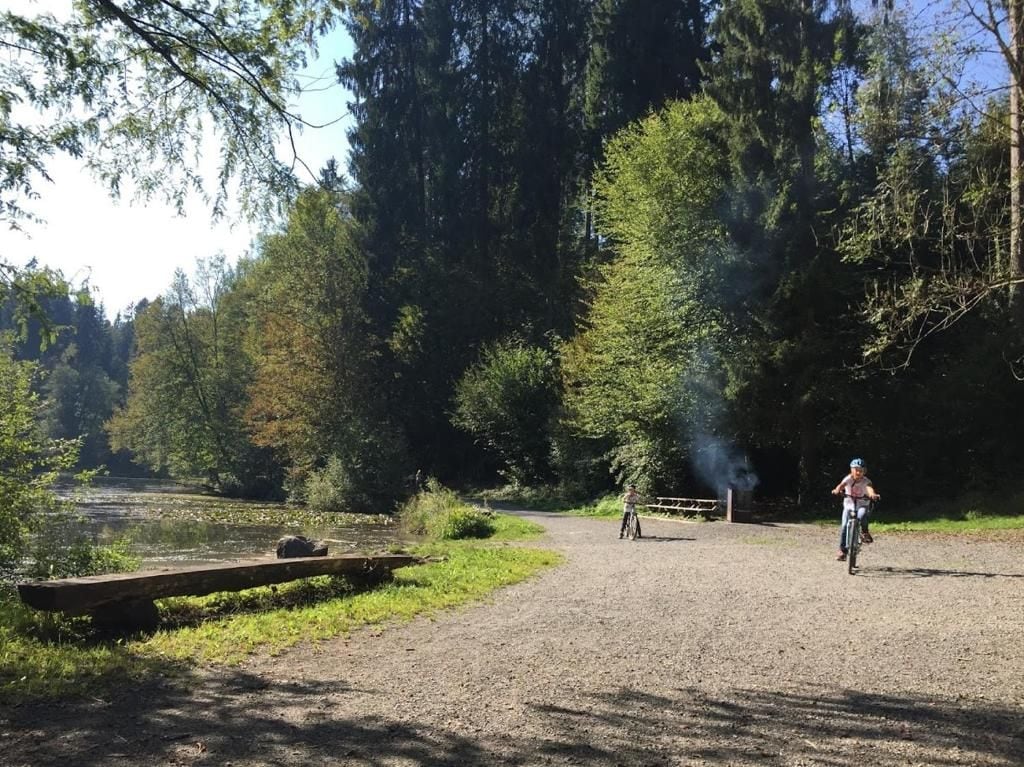 A gravel path in a wooded area with a wooden dock and a person riding a bicycle.