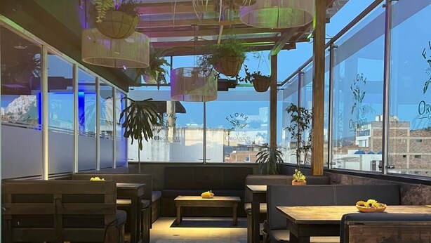 A restaurant with wooden furniture, hanging plants, and large windows offering city views.