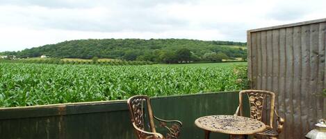 Estúdio | Área da propriedade