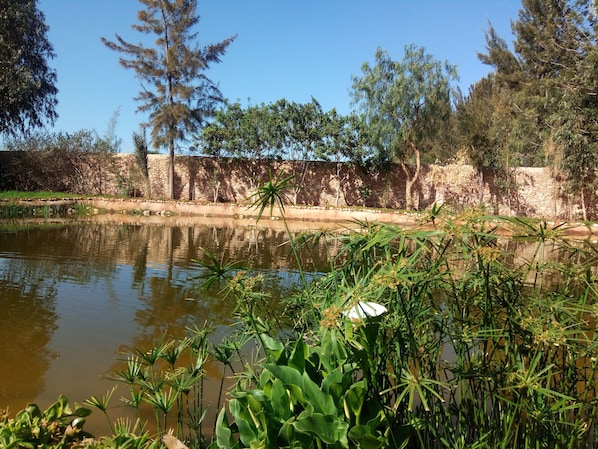 Surrounded by lush greenery and a serene body of water, this tranquil oasis invites relaxation and connection with nature.