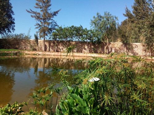 In a green setting, architect house.