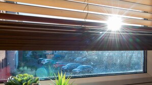 Une fenêtre donnant sur les voitures garées à l’extérieur, une plante en pot posée sur le rebord de la fenêtre, et le soleil qui filtre à travers les stores.