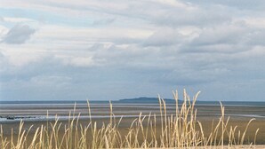 Une plage avec de hautes herbes au premier plan et un ciel nuageux.