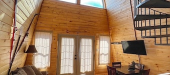 Prairie Flax Cabin 3 - 2 bedrooms in Creede, Colorado