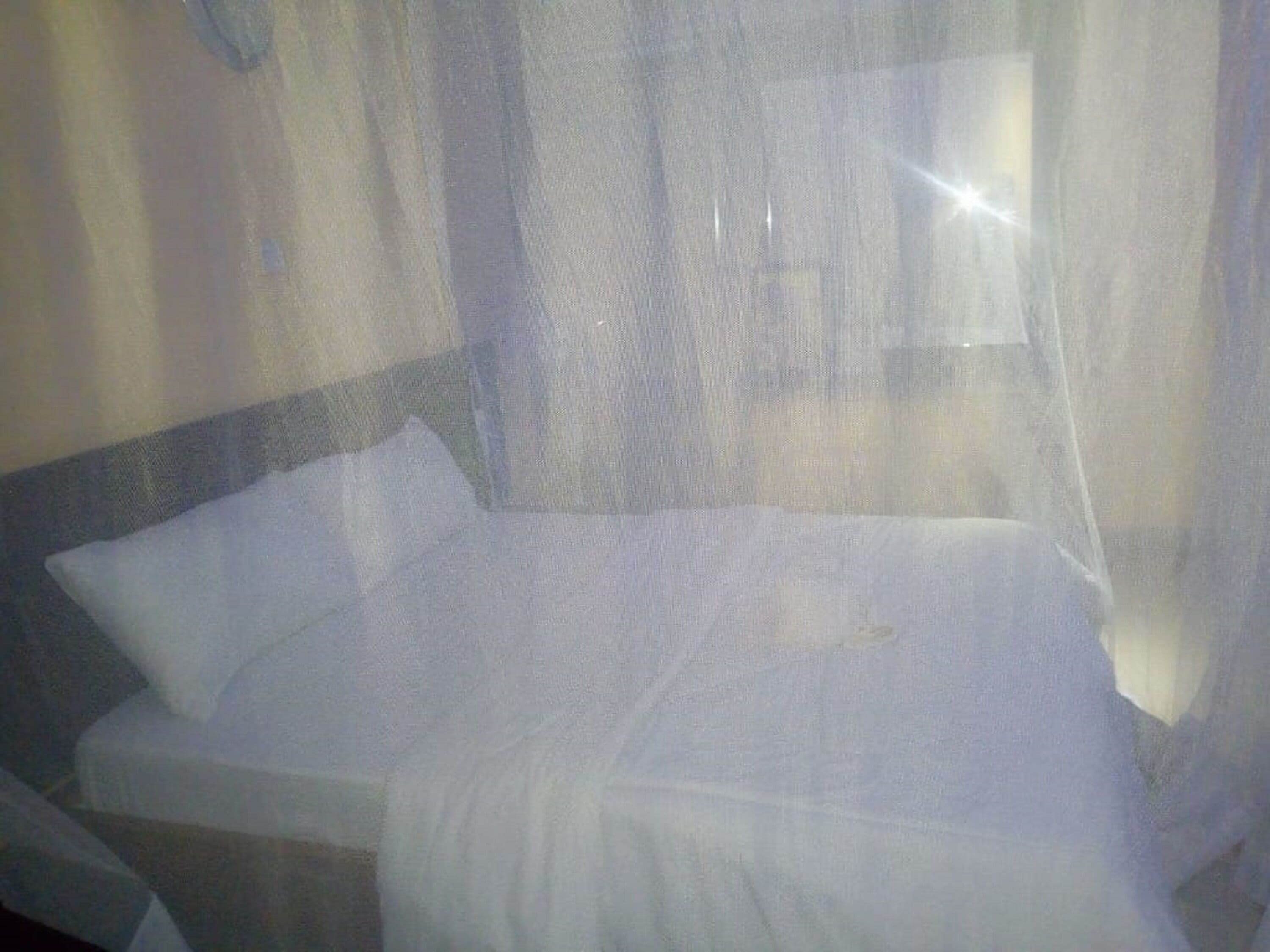 A bed with a mosquito net, a pillow, and a blanket.