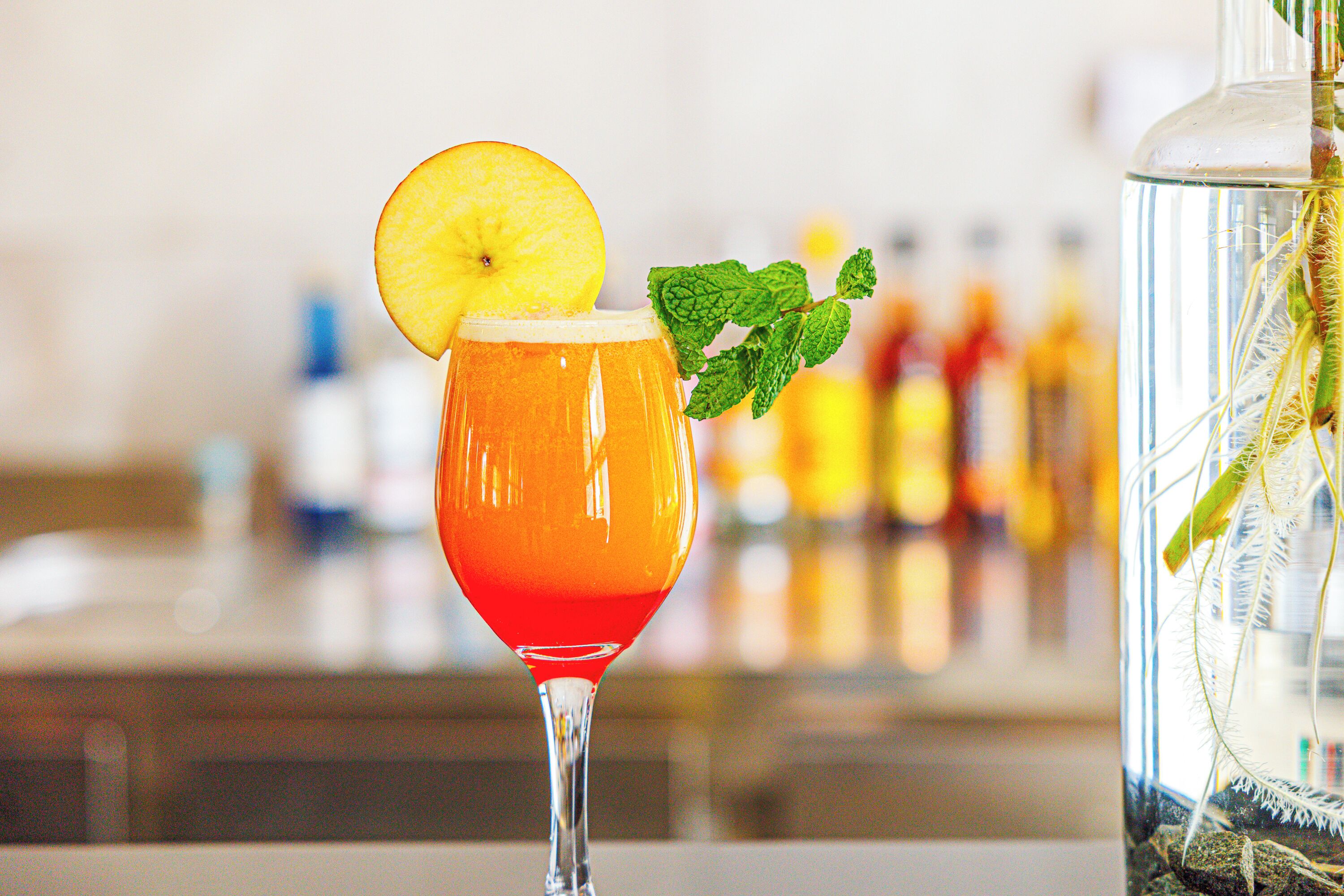 A cocktail with a slice of fruit and a mint garnish.