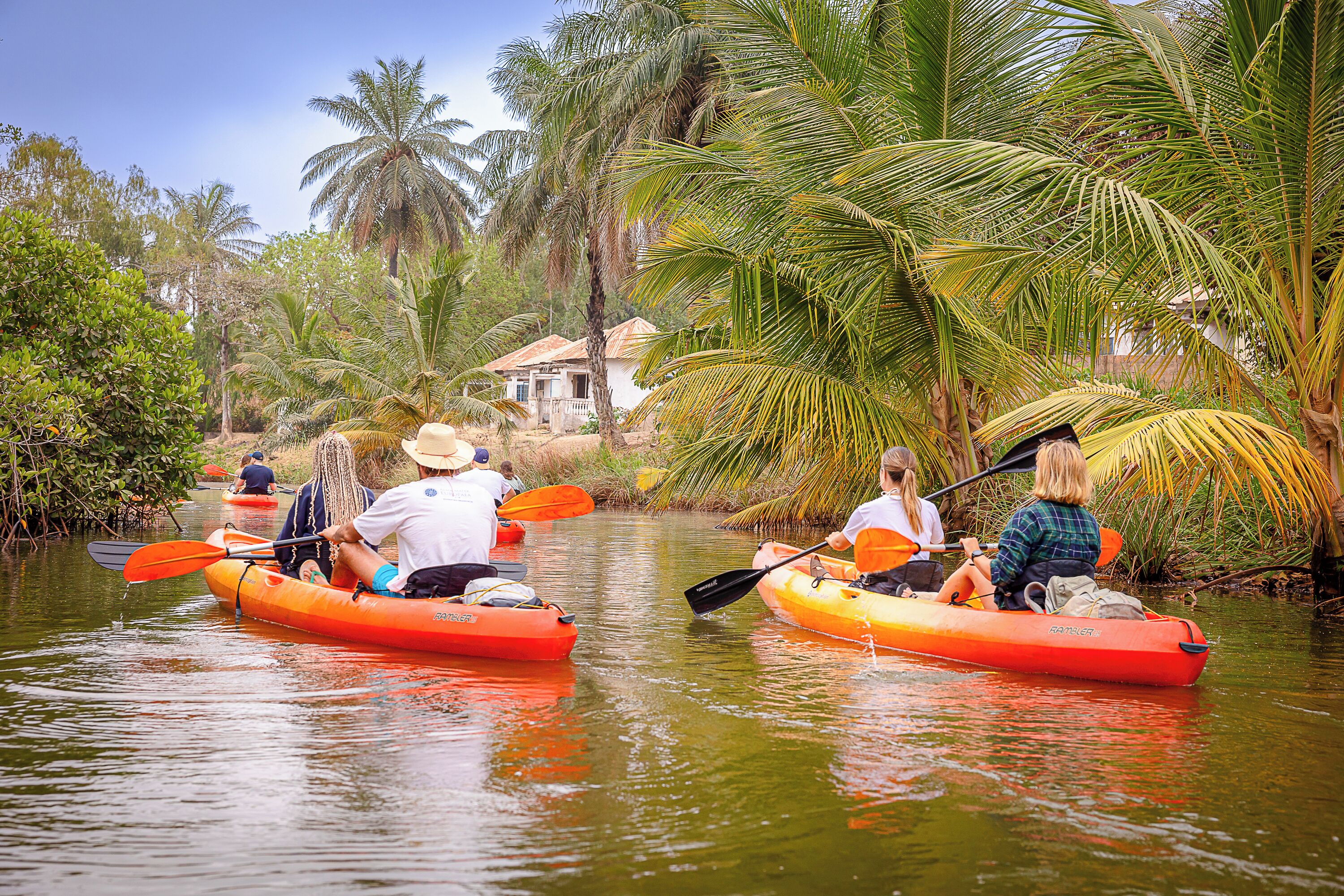 A group of people kayaking on a calm river surrounded by lush greenery and palm trees.