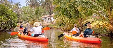 A group of people kayaking on a calm river surrounded by lush greenery and palm trees.