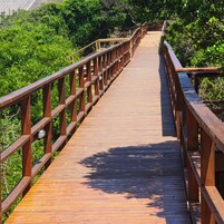 Escaleras