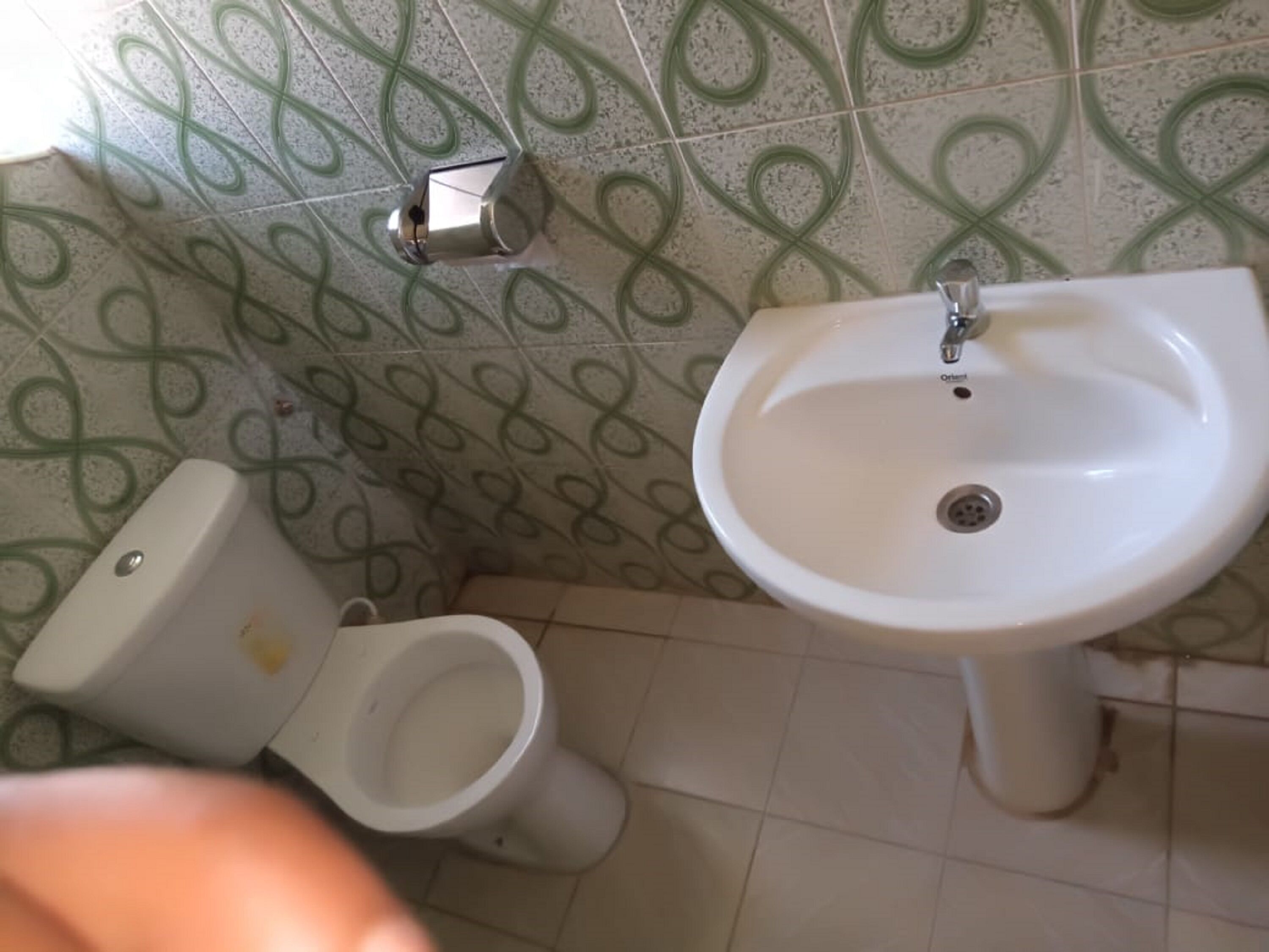 A bathroom with a toilet and a sink.