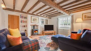 TV, fireplace, stereo