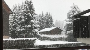 A snowy scene with a house and trees. - Spacious 2-bed apartment in Morzine on ski bus route (Morzine)