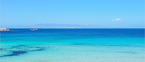 Nära stranden