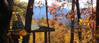 Tree Tops - Long Range Views