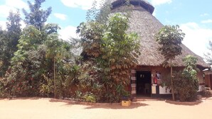 A thatched-roof building with a sign for Guinness, surrounded by lush greenery.
