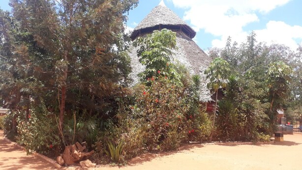A traditional thatched-roof building surrounded by dense vegetation and trees.