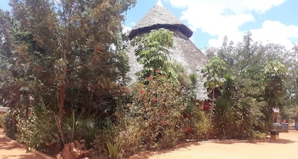 Stress Free Resort