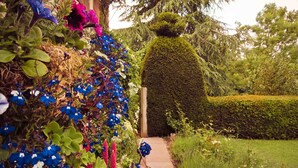 A garden pathway surrounded by lush greenery and vibrant flowers. - Yew Tree House (Stourport-on-Severn)