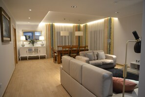 TV connectée, cheminée, livres