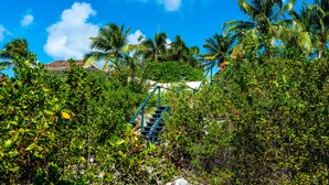 A staircase surrounded by dense tropical foliage leading to a building with a tiled roof. - Oceanfront Villa, Direct Ocean Access, Private Pool (Kralendijk)
