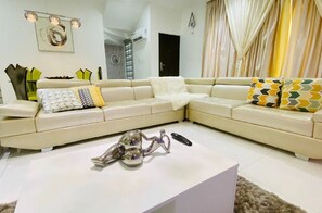 TV, DVD player, books, music library