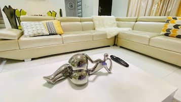 TV, DVD player, books, music library