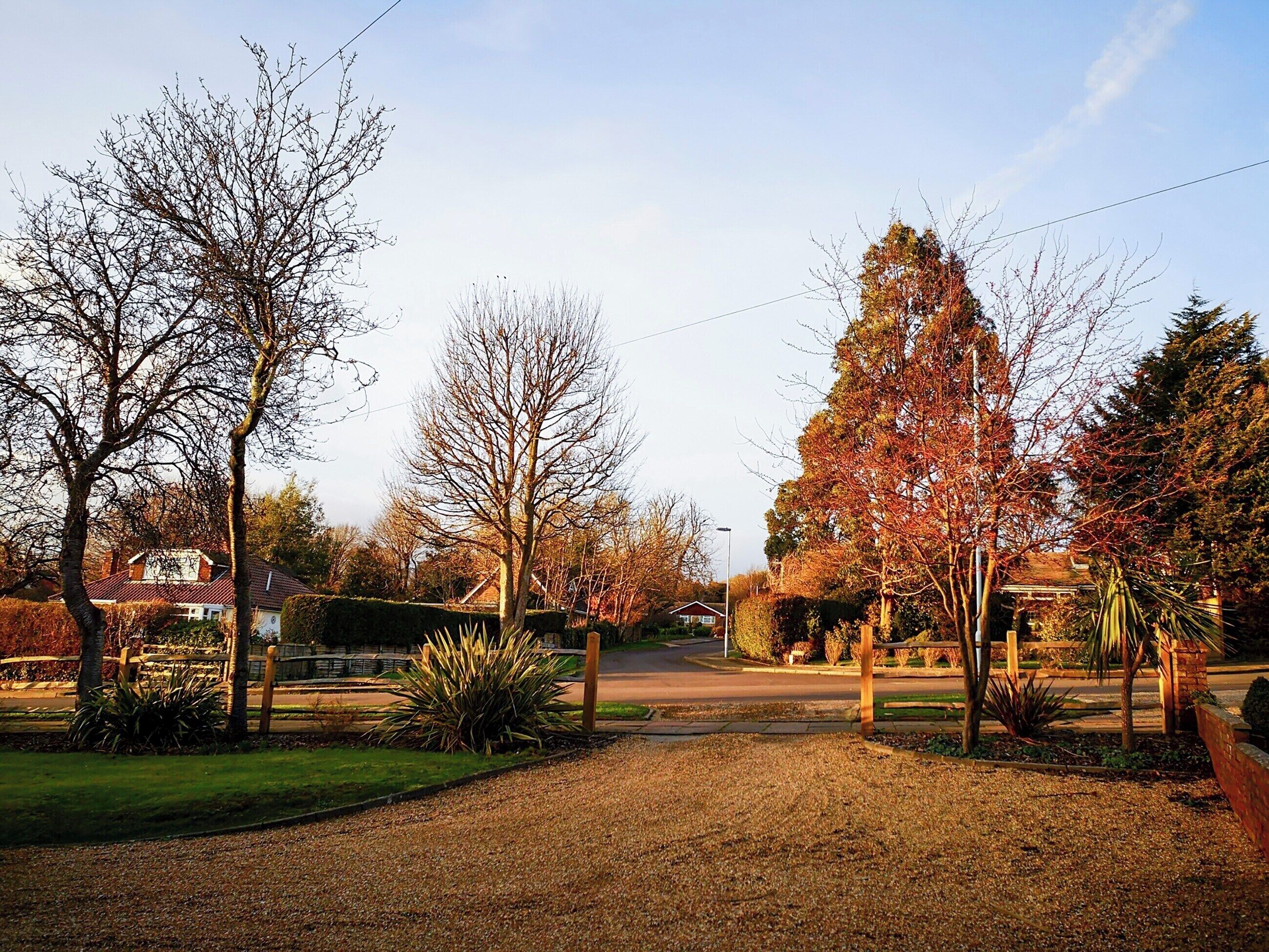 A residential street with houses, trees, and a gravel driveway.