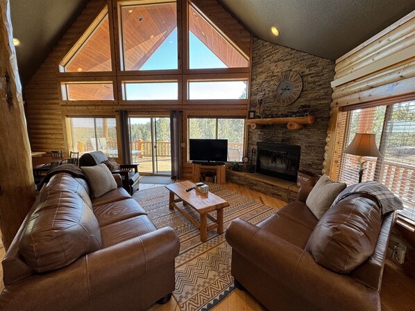 テレビ、暖炉、DVD プレーヤー