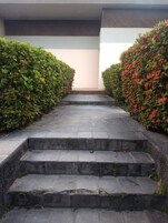 Un conjunto de escalones de piedra que conducen a la entrada de un edificio, bordeados por setos cuidados con flores rojas.