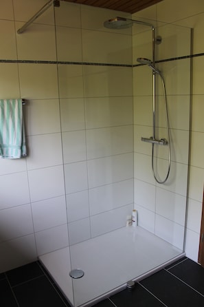 Shower, towels, soap, toilet paper