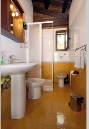 Shower, hair dryer, bidet, towels