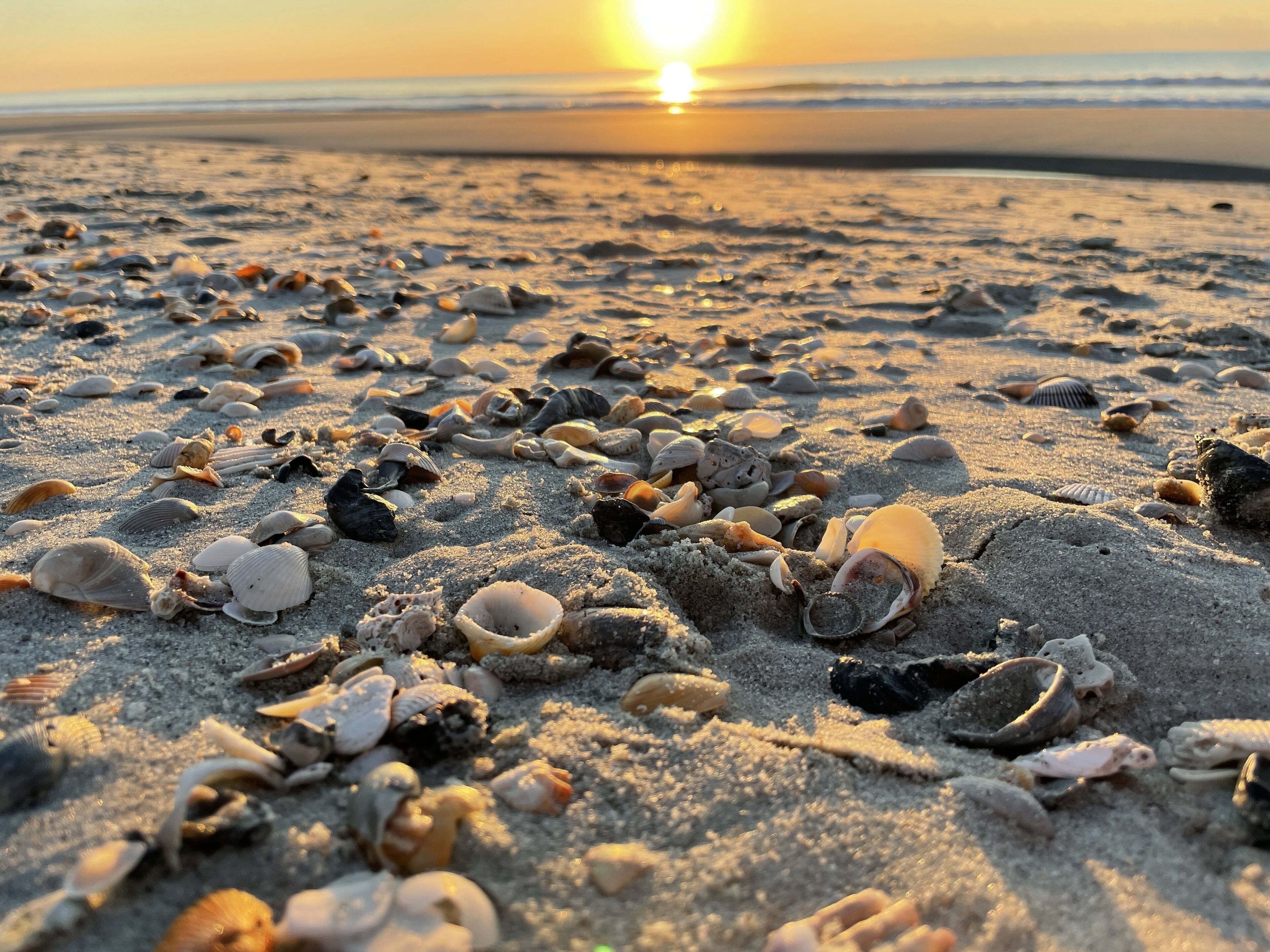 On the beach, sun-loungers, beach towels