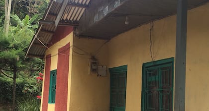 Il y a des magasins, des cafés, un musée, le village d'Ari et des banques à 5-10 minutes à pied.