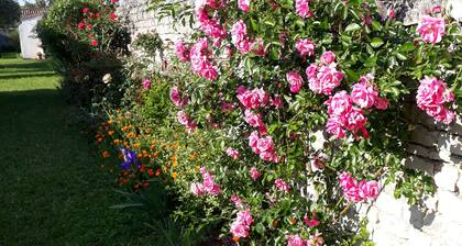 Chambre d'hÎte indépendante, au milieu d'un jardin arboré