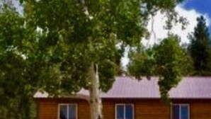 A wooden cabin with a red roof, surrounded by tall trees.