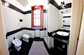 Shower, hair dryer, bidet, towels