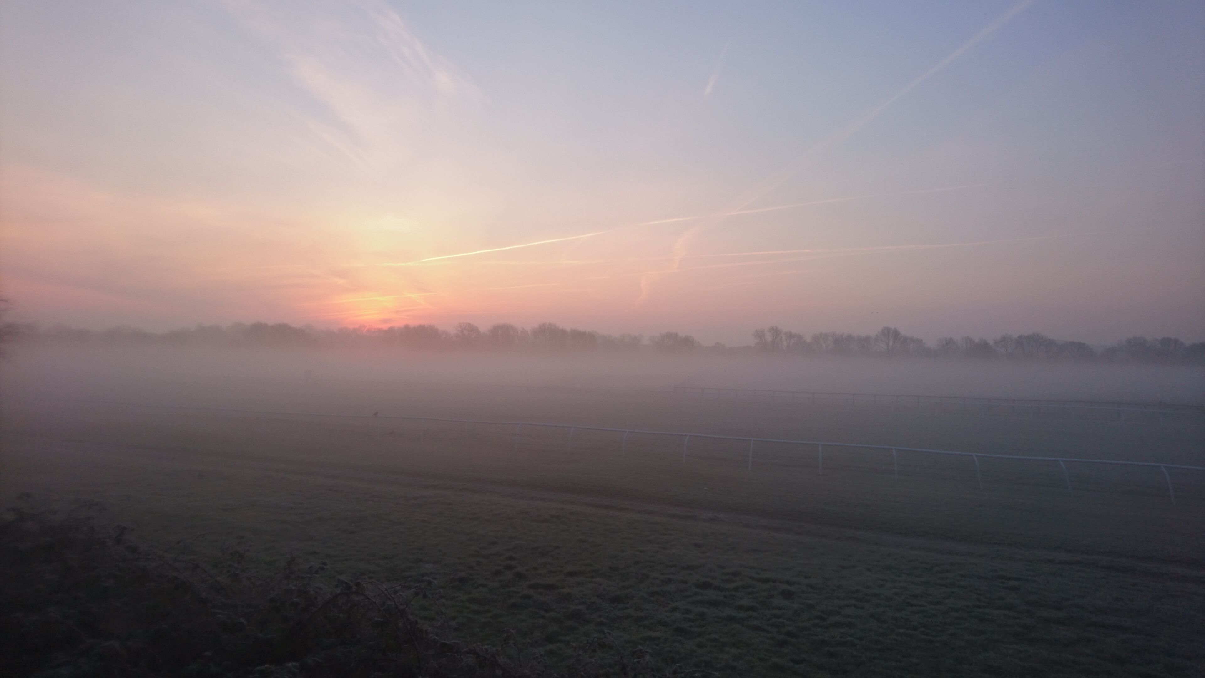 A foggy field with a fence and a distant tree line.
