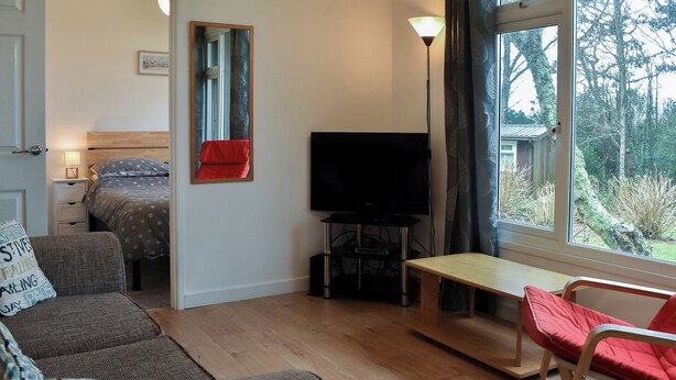 A room with a bed, a TV, a sofa, a table, and a window with a view of trees.