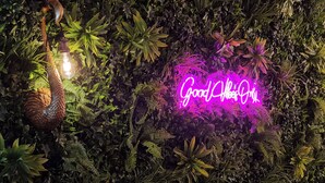 A lush indoor garden with a neon sign that reads "Good Aloha." - Creates (Monmouth)