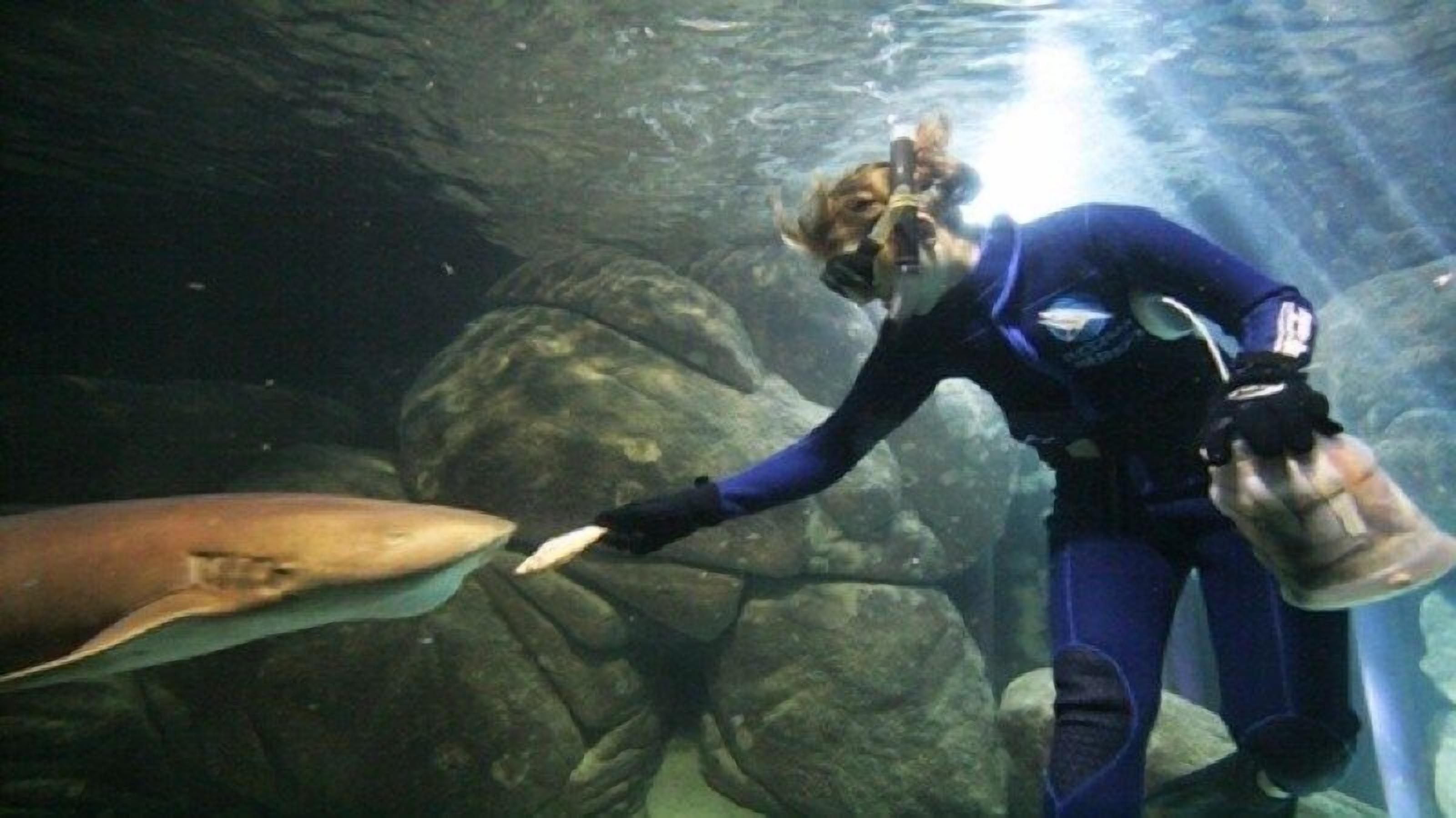 Photo - Hotel Canto do Atlântico