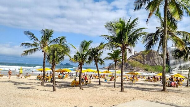 A beach with palm trees, yellow umbrellas, and people relaxing. - Hotel Canto do Atlântico (Guarujá)