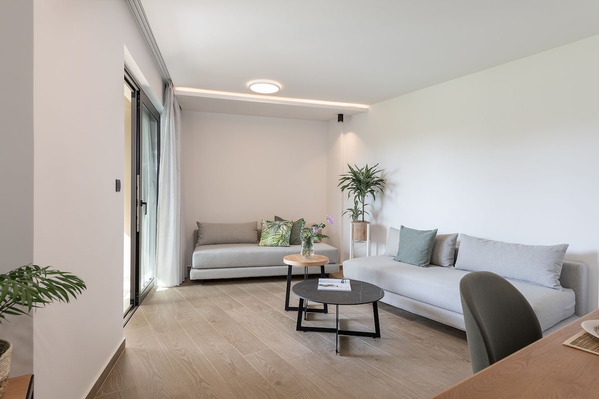 A modern living room with a sofa, coffee table, and a plant.