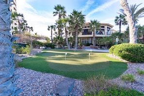Enjoy a round of golf surrounded by lush palm trees and beautifully landscaped areas.