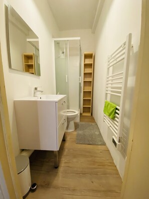 Regadera, secadora de cabello, papel de baño 