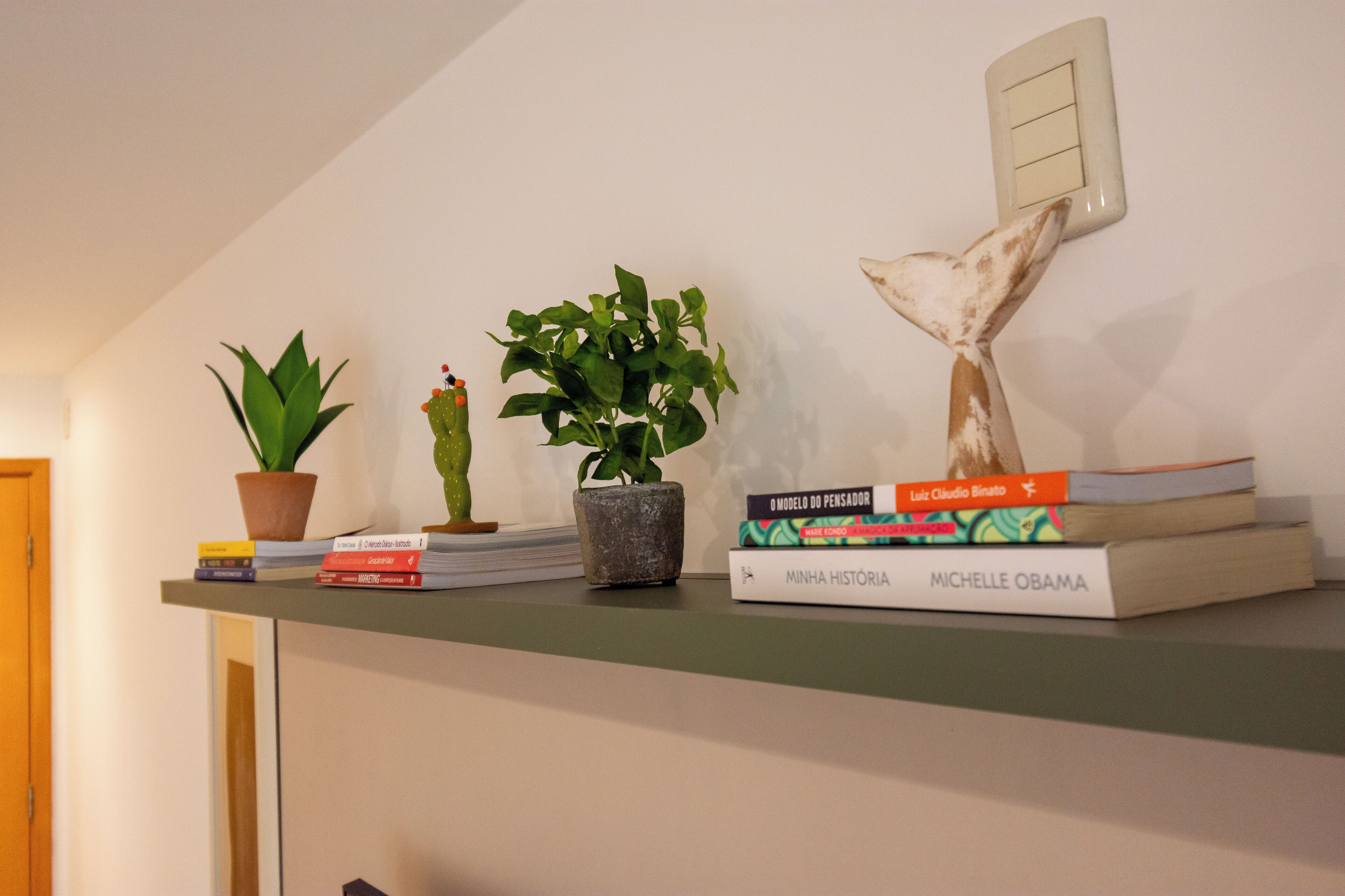 A shelf with books, a cactus, and a plant.