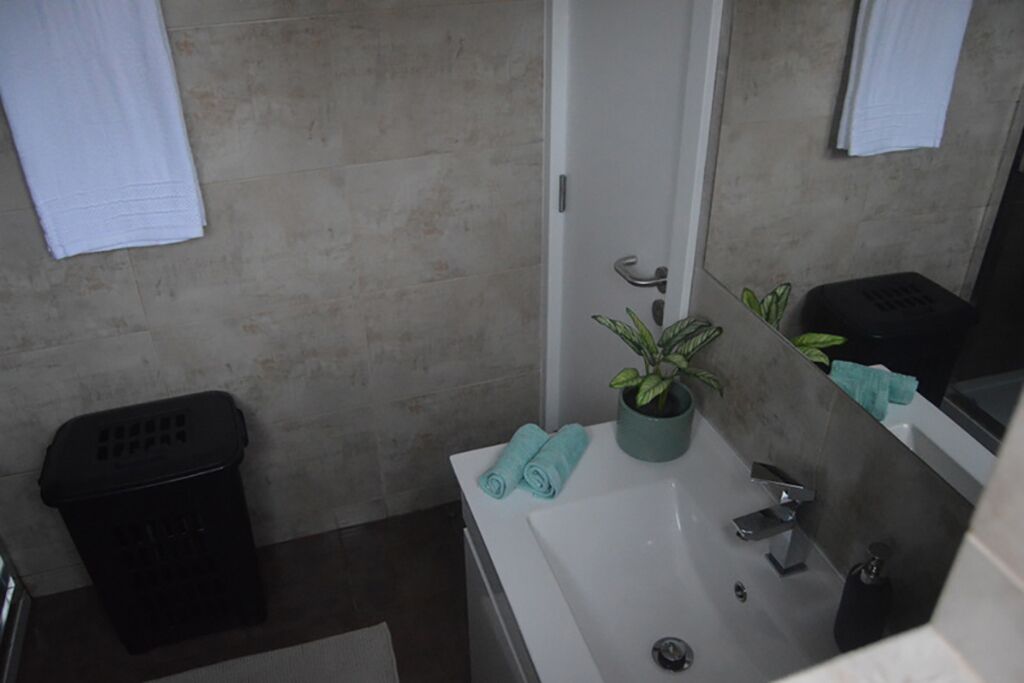 A bathroom with a white sink, a potted plant, a towel, and a trash bin.