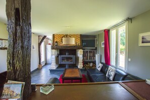 TV, fireplace, DVD player, books