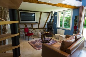 TV, fireplace, DVD player, books